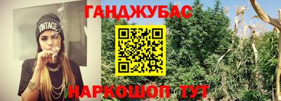 Альфа ПВП Нальчик