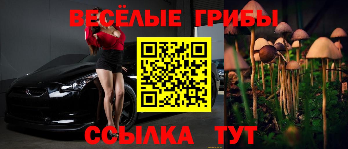 Уварово  купить наркотики сайты  Вход с VPN  Галлюциногенные грибы Psilocybine cubensis 